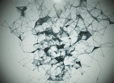 White Plexus 01
